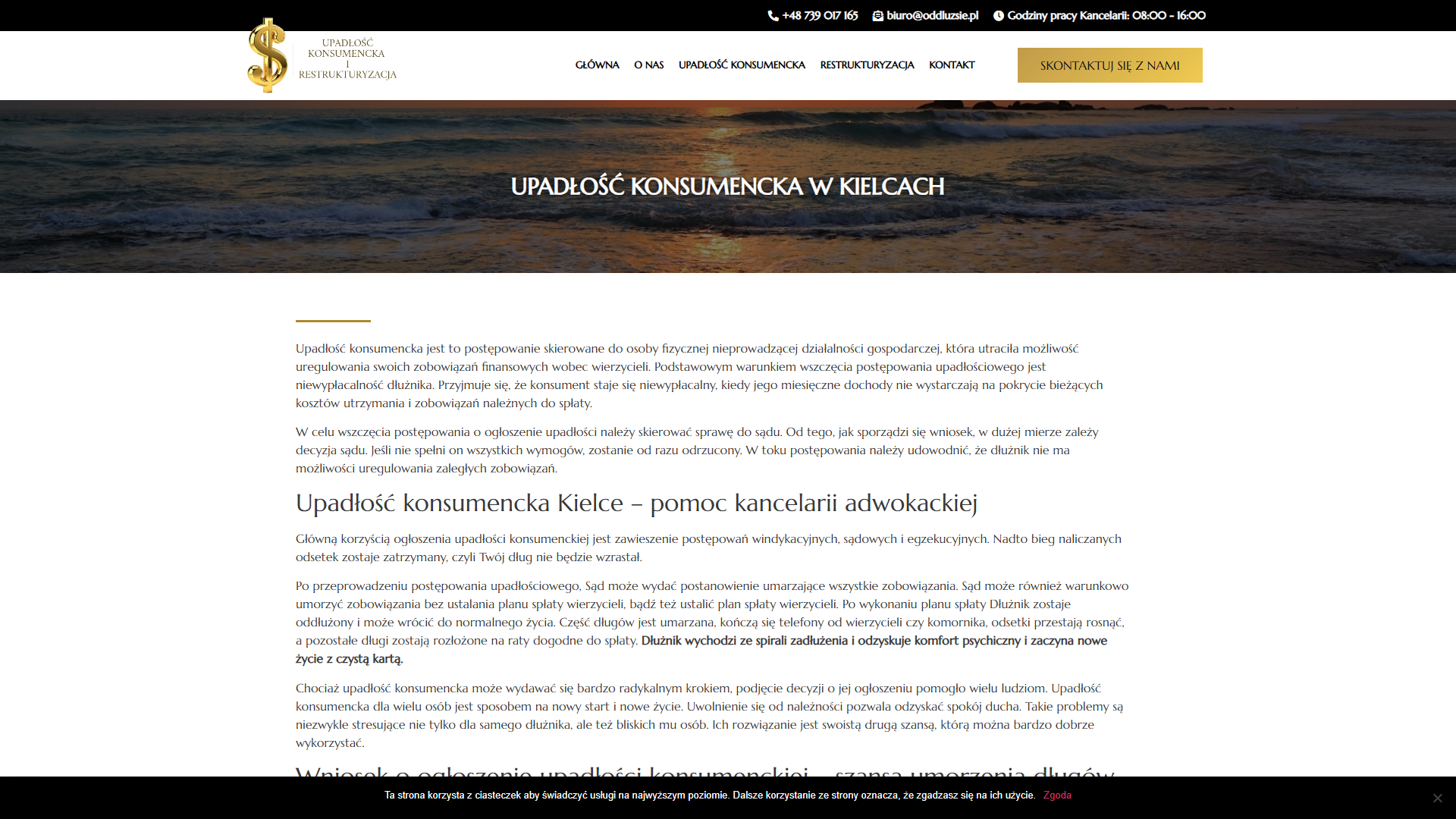 oddluzsie.pl